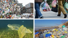 This round-up looks at seven nations that are implementing bold regulatory changes to reduce the amount of plastic seeping into the environment